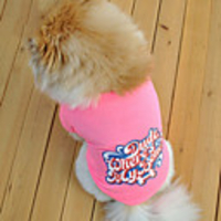 Cat Dog Shirt / T-Shirt Letter Number Cosplay Wedding Dog Clothes Blue Pink Green Costume Cotton XS S M L