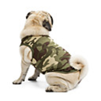 Cat Dog Shirt / T-Shirt Sweater Sweatshirt Camo / Camouflage Classic Holiday Casual / Daily Dog Clothes Black Blue Pink Costume Terylene Cotton XS S M L