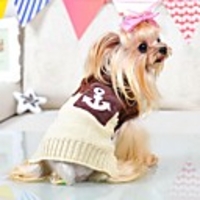 Cat Dog Sweater Dog Clothes Color Block Coffee Blue Pink Cotton Costume For Spring Fall Winter Men