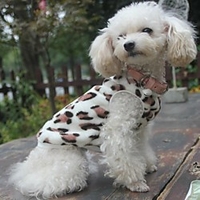 Cat Dog Sweater Sweatshirt Pajamas Leopard Casual / Daily Outdoor Winter Dog Clothes Puppy Clothes Dog Outfits Black Costume for Girl and Boy Dog Polar Fleece XS S M L XL miniinthebox