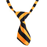 Cat Dog Tie / Bow Tie Nylon White Orange