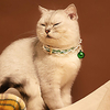 Cat Pets Collar Cute and Cuddly With Bell Safety Outdoor Walking Solid Colored PU Leather Yellow Green 1pc miniinthebox