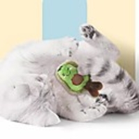 Chew Toy Catnip Plush Toy Interactive Toy Cat Toys Set Cat Pet Toy 1pc Animal Pet Exercise Releasing Pressure Plush Gift