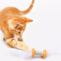 Chew Toy Catnip Plush Toy Interactive Toy Cat Toys Set Cat Pet Toy 1pc Pet Exercise Releasing Pressure Cotton Gift