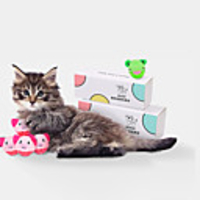 Chew Toy Catnip Plush Toy Interactive Toy Cat Toys Set Cat Pet Toy 3pcs Animal Pet Exercise Releasing Pressure Plush Gift