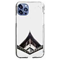 Chinese Style Case For Apple iPhone 12 iPhone 11 iPhone 12 Pro Max Unique Design Protective Case Shockproof Back Cover TPU