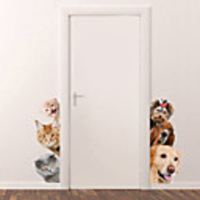 Christmas Decorations / Holiday Wall Stickers Plane Wall Stickers / Holiday Wall Stickers Decorative Wall Stickers,  PVC Home Decoration Wall Decal Wall / Window Decoration 1pc