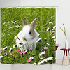 Chrysanthemum White Rabbit Digital Printing Shower Curtain Shower Curtains Hooks Modern Polyester New Design