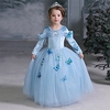 Cinderella Fairytale Princess Dress Flower Girl Dress Girls