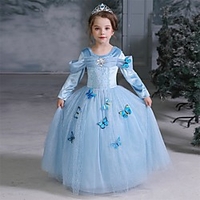 Cinderella Fairytale Princess Dress Flower Girl Dress Girls