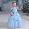 Cinderella Fairytale Princess Dress Flower Girl Dress Girls