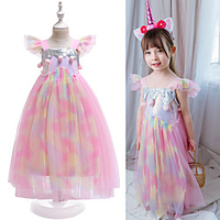 Cinderella Princess Cosplay Costume Costume Girls