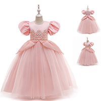 Cinderella Princess Cosplay Costume Costume Girls