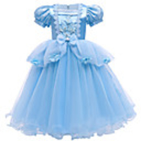 Cinderella Princess Dress Flower Girl Dress Girls