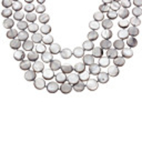 Clastic Shell Necklace(Assorted Colour)