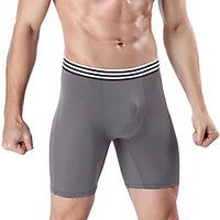 Compression Shorts Boxer Brief Bottoms Quick Dry Breathability Wearable Comfortable Autumn / Fall Spring Nylon Camping / Hiking Camping / Hiking / Caving Traveling Black White Blue / Winter