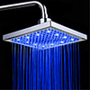 Contemporary Rain Shower Electroplated Feature - LED / Premium Design / Shower,  Shower Head