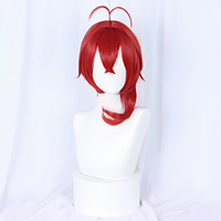 Cosplay Cosplay Cosplay Wigs Unisex With Ponytail 65 inch Heat Resistant Fiber Dry Red Adults