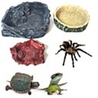 Crawler Pet Feeder Bowl Basin Resin Non-toxic Food Water Pot Reptile Turtle Tortoise Scorpion Lizard Crabs Pets Supplies