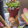 Creative Cute Bear Decoration Flower Pot Personality Animal Decoration Desktop Succulent Potted Plant Gift for Boys miniinthebox