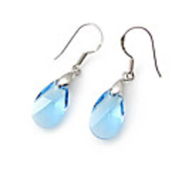 Crystal And 925 Sterling Silver With Platinum Plated Earrings