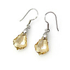 Crystal And 925 Sterling Silver With Platinum Plated Earrings
