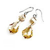 Crystal And 925 Sterling Silver With Platinum Plated Earrings