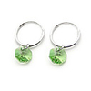 Crystal And 925 Sterling Silver With Platinum Plated Earrings