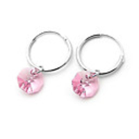 Crystal And 925 Sterling Silver With Platinum Plated Earrings