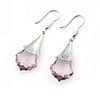 Crystal And 925 Sterling Silver With Platinum Plated Earrings