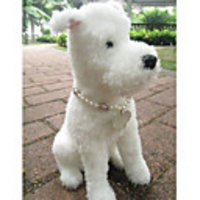 Crystal Butterfly Pearl Necklace for Dogs (S-L,  Assorted Colors)