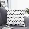 Cushion Cover with Pillow Insert Double Print 38x38cm / 45x45cm Polyester Geometric