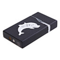 Cute Dolphin With Flashing LED Oil Lighter