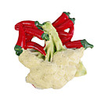 Cute Vegetables Style Fridge Magnets(Broccolo)