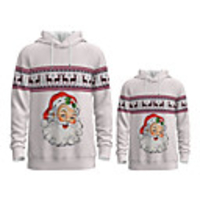 Daddy and Me Active Santa Claus Graphic 3D Print Animal Print Long Sleeve Regular Hoodie Sweatshirt Light gray