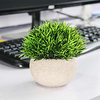 Desktop Simulation Bonsai Green Plant Short Needle Grass Half Round Paper Pulp Basin Simulation Bonsai With Basin Style 12cm miniinthebox
