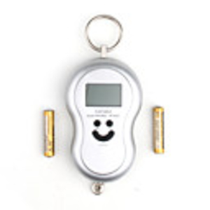 Digital Handing Scale