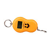Digital Hanging Scale