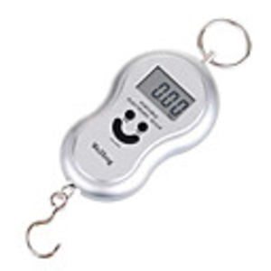 Digital Weighting Hook Scale with Neck Strap -Silver (40kg Max/10g Resolution)