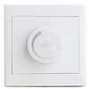 Dimmer Switch (300W,  110V,  220V)