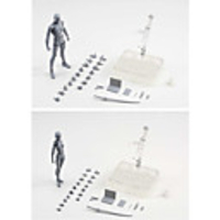 Display Model Model Building Toy PVC