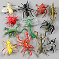 Display Model Model Building Kit Insect Animals Simulation Plastic PVC(PolyVinyl Chloride) 12 pcs Party Favors,  Science Gift Education Toys for Kids and Adults / 14 Years Up
