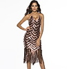 Diva Disco 1980s Fringed Dress Vacation Dress Dress Women