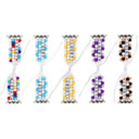 DIY Lucky Beads Braided For Apple Watch Series 5/4/3/2/1 Elastic Strap For iWatch 38mm/40mm/42mm/44mm Women Girls Handmade Jewelry Bracelet
