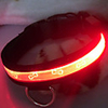 Dog Bone Pattern Style LED Dog Collar (40-50cm,  Assorted Colors)
