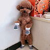 Dog Boots / Shoes Snow Boots Anti-Slip Keep Warm Stripes For Pets Fabrics Red