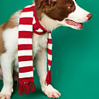 Dog Cat Bandanas Hats Christmas Costume Christmas Santa Claus Classic Cosplay Christmas Winter Dog Clothes Puppy Clothes Dog Outfits Warm Red Costume for Girl and Boy Dog Polyster XXS XS S M L XL