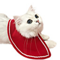 Dog Cat Bandanas Hats Christmas Costume Cloak Santa Claus Santa Claus Classic Cosplay Christmas Party Winter Dog Clothes Puppy Clothes Dog Outfits Adjustable Red Costume for Girl and Boy Dog Fleece