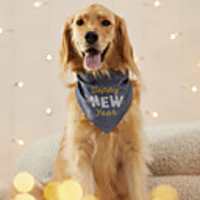 Dog Cat Bandanas Hats Christmas Costume"es Sayings Christmas Santa Claus Santa Claus Classic Cosplay Funny Christmas Party Winter Dog Clothes Puppy Clothes Dog Outfits Adjustable Red Gray