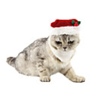 Dog Cat Bandanas Hats Christmas Costume Santa Claus Santa Claus Classic Cosplay Christmas Party Winter Dog Clothes Puppy Clothes Dog Outfits Adjustable Red Costume for Girl and Boy Dog Polyster